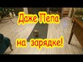 Даже Пепа на зарядке!