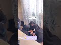 چالش دانش اموز مدرسه معلم بلاگر معلم عربی دانشجویی فرهنگیان Cfu کنکور کتاب Teacher Instagram چالش دانش اموز مدرسه معلم بلاگر معلم عربی دانشجویی فرهنگیان Cfu کنکور کتاب Teacher Instagram