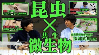 【閲覧注意！？】昆虫に共生する微生物研究の最前線