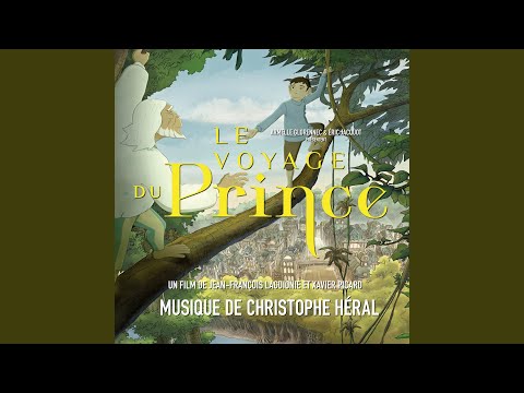 Tom et les oiseaux