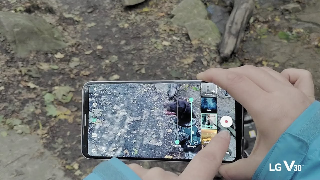 LG V30 x hitRECord - Cine Effect | Pets - YouTube