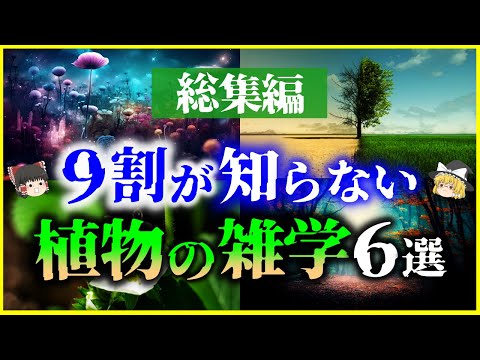 【総集編】9割の人が知らない「植物の雑学」6選を解説/繁殖力の強い植物で砂漠を…？、悪魔の植物じゃがいも、他【作業用】【睡眠用】【ゆっくり解説】