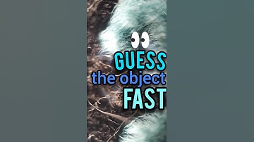 DidYouGuessIt SubscribeForNextChallenge #MindChallenge #guess what #MicroscopeFun #Macro# yourGuess