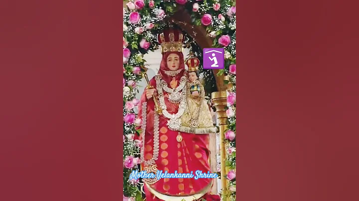 Miracle of Velankanni Matha || Velankanni Shrine #velankanni