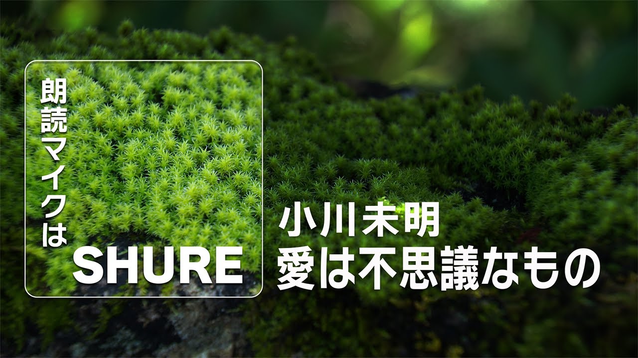 【朗読】愛は不思議なもの_小川未明