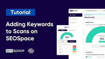 Adding Keywords to Scans on SEOSpace (Feature Tutorial)