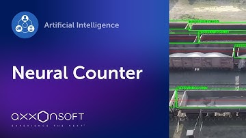 Neural Counter