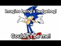 Imagine being a hedgehog! (Sonic)