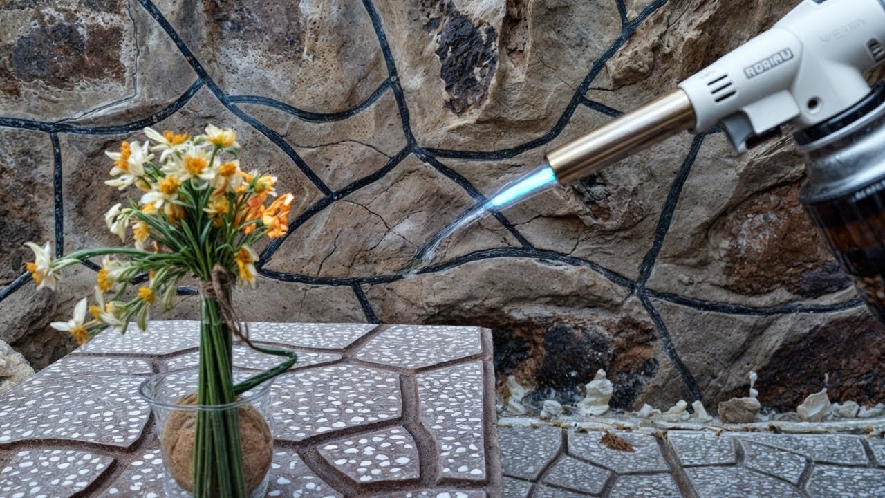 GAS TORCH VS DRY FLOWER