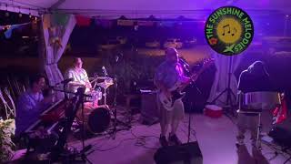 Mango Jay Simmons Guest Steel Pan & The Sunshine Melodies Live In Ct  No No No By Dawn Penn