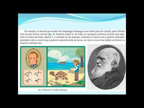 Video: Care sunt trei definiții ale evoluției?