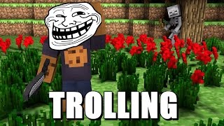 Minecraft - Trolling | Porcii zboara ? :))