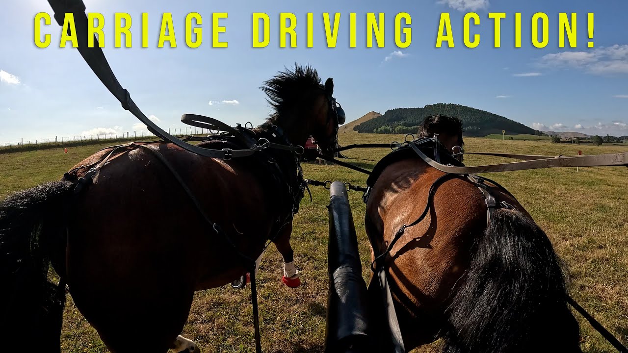 S3 Special Edition Episode  - Carriage Driving Marathon in Scenic New Zealand