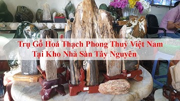 Trụ Gỗ Hoá Thạch Việt Nam Tại Kho Nhà Sàn Tây Nguyên
