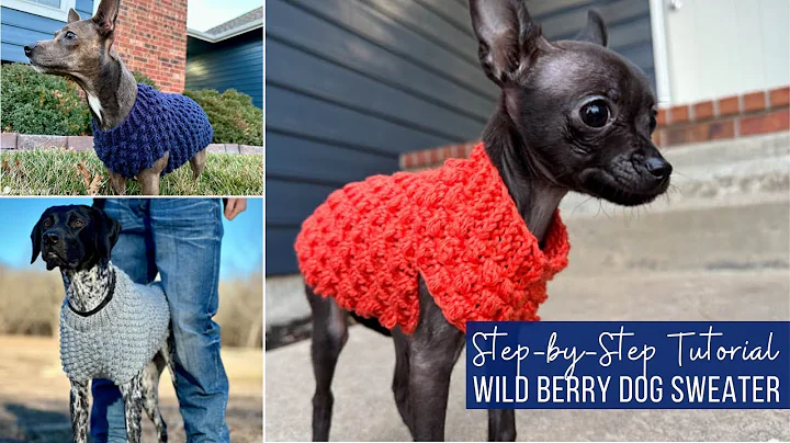 Wild Berry Dog Sweater Video Tutorial (sizes XXXS - LARGE)