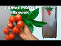 Cara Membuat Buah Tomat Dari Plastik KRESEK _ How to Make Tomatoes From Plastic Bags