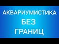 Аквариумистика без границ. В гостях у аквариумистов любителей. Аквариум Артёма из Испании.Выпуск 1.