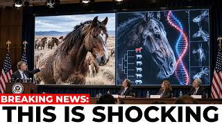 Details Scientists Tested 8500 American Wild Horses and Their DNA Changed Our Understanding Update