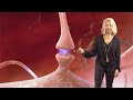 Beth Stevens (Boston Children’s) 2: How Microglia Sculpt Brain Circuitry in Health and Disease