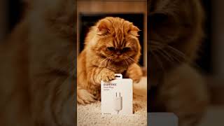 This Cat's Verdict: EIGHTREE Smart Plugs Are A Must-Have! 🐱