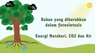 Lagu Fotosintesis (Video Animasi) (Nada: naik becak) Lagu Fotosintesis (Video Animasi) (Nada: naik becak)