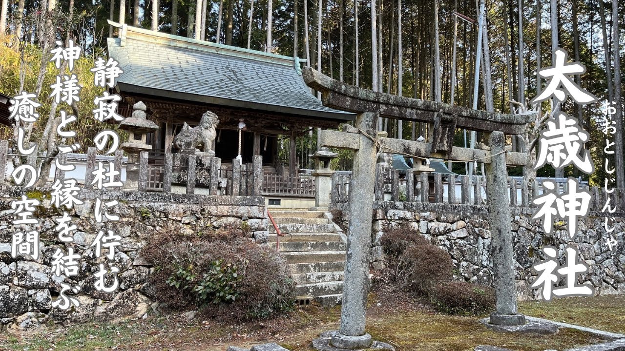 静寂の杜に佇む❗️神様とご縁を結ぶ✨癒しの空間「太歳神社」⛩️【パワースポット】