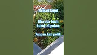 Jika ada buah busuk di pohon jangan di petik #buah #love #katabijak #quotes #motivasi #comedy