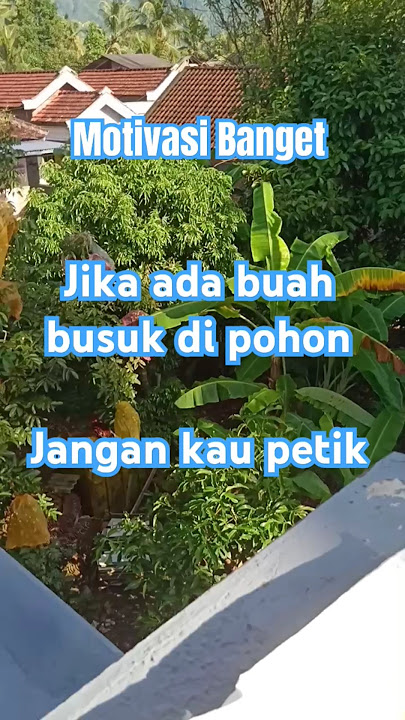 Jika ada buah busuk di pohon jangan di petik #buah #love #katabijak #quotes #motivasi #comedy