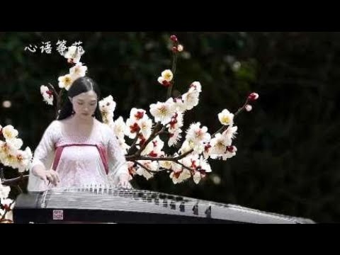 古筝　敦煌の一帘幽夢 古筝弹奏《一帘幽梦》轻轻地撩动心弦，把乏味的生活变得更有格调- YouTube
