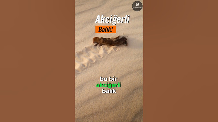 Karada Yürüyüp Hava Soluyan Balık 🐟💨😱