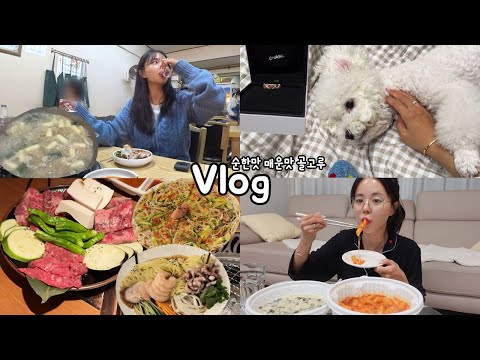 [먹방vlog] 저메추! 순한맛 or 매운맛😋  _ 닭한마리+엽기떡볶이+우설+명란감자전+샤넬 코코크러쉬+계란죽+늑간살+칼국수