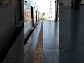 Linha 11 coral da CPTM SP 73