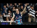 Max Holmes Highlights of the 2025 afl season Speed and power 