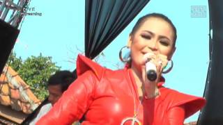 Download ANICA NADA (DIAN ANIC) | REBUTAN LANANG | | JUNTINYUAT | YONES Mp3 Download ANICA NADA (DIAN ANIC) | REBUTAN LANANG | | JUNTINYUAT | YONES Mp3