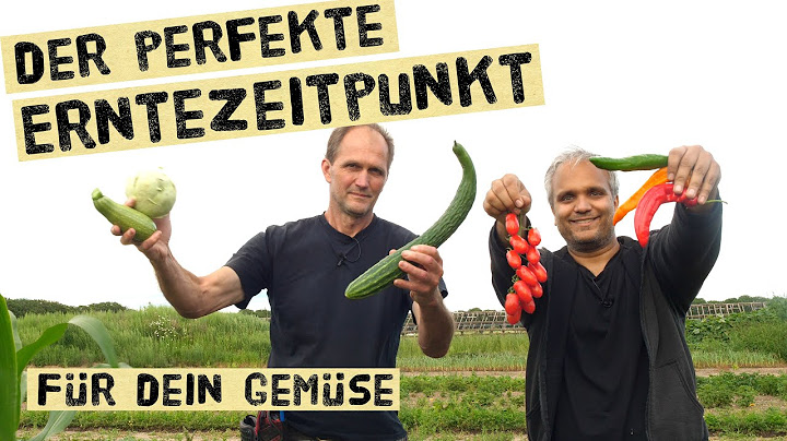 Wann erntet man Gemüse und Obst? Ist Gemüse giftig wenn man es zu früh erntet. Gartentipps im August