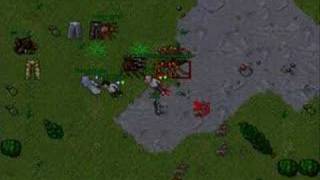 Tibia - Giant Spider