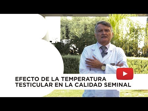 Vídeo: Testículos Fríos: Qué Tan Frío Es Demasiado Frío Y Cómo Calentarlos