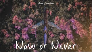 Suai (수아이) Now Or Never