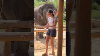 Coming For Their Treat