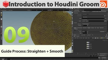 09 - Introduction to Houdini Groom  - Guide Process:  Straighten + Smooth