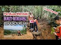 Panduan mendaki bukit beruang trail hutan