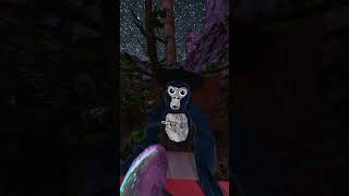 ASK RANDOM QUESTIONS #gorillatag #vr #fypシ゚viral  #viral