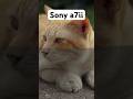 #sony #sonya7ii #colorgrading