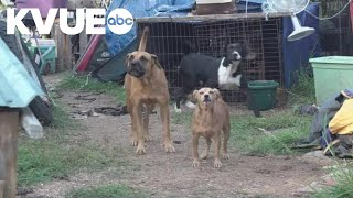 Arrest affidavit reveals new details on Gatesville animal cruelty case