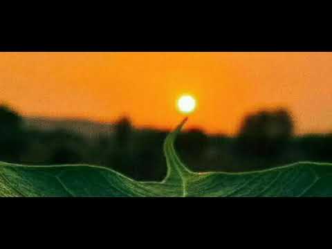 قلوب كنقش الغيوم تنامت