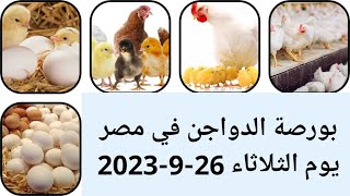 اسعار الفراخ البيضاء اليوم سعر الفراخ البيضاء اليوم الثلاثاء 26-9-2023 جمله وقطاعي في مصر