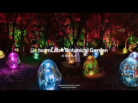 teamLab Botanical Garden Osaka (Dec-Feb)