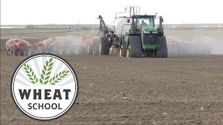 Wheat School: Avoiding fertilizer seed injury in dry conditions