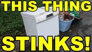 Trash picking and finding 15 piles
