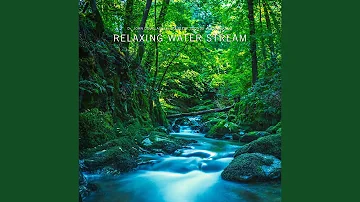 Relaxing Water Stream